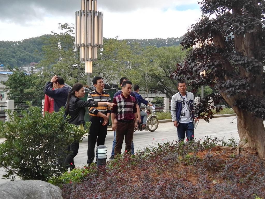 景观工程验收现场-苗木工程